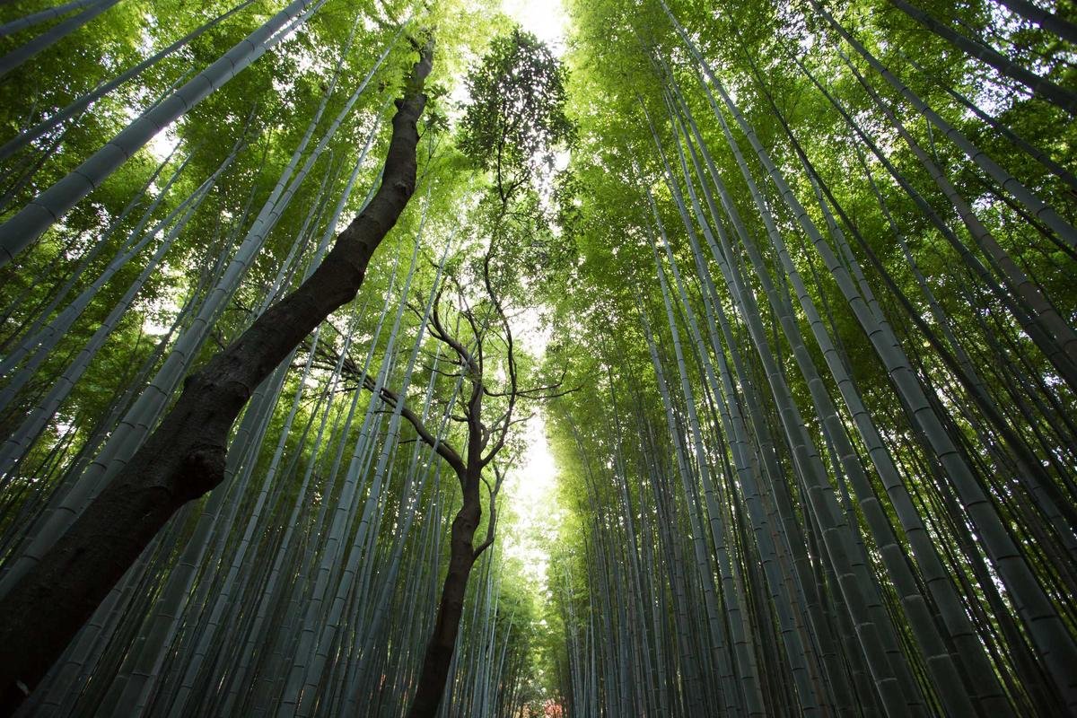 Taiwan Adventure Trail