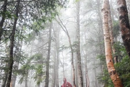 New Zealand Culture Trail