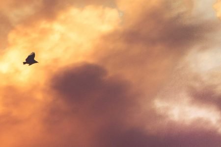 Rishikesh & Haridwar Yoga Retreat