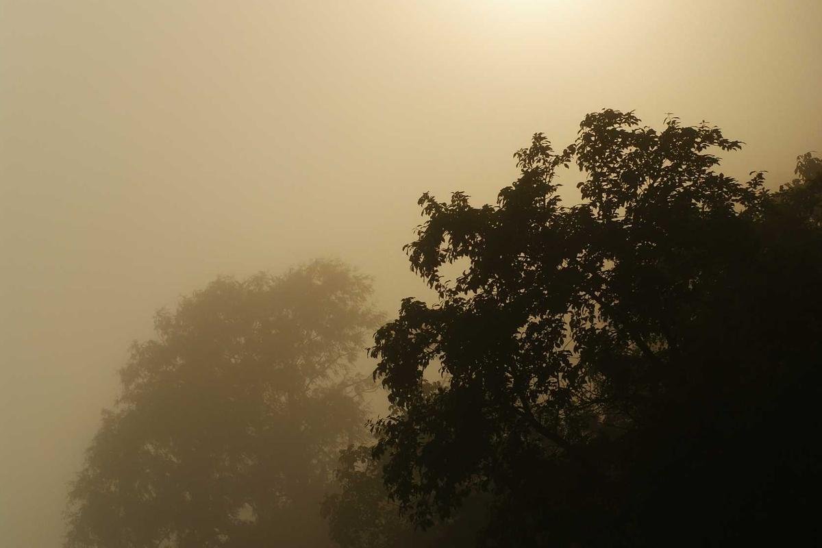 Coorg — Coffee & Waterfalls