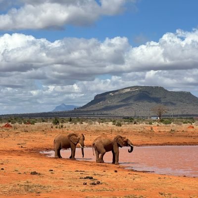 Africa